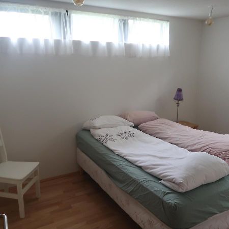 Large Apartment Close To The Centre レイキャヴィーク エクステリア 写真