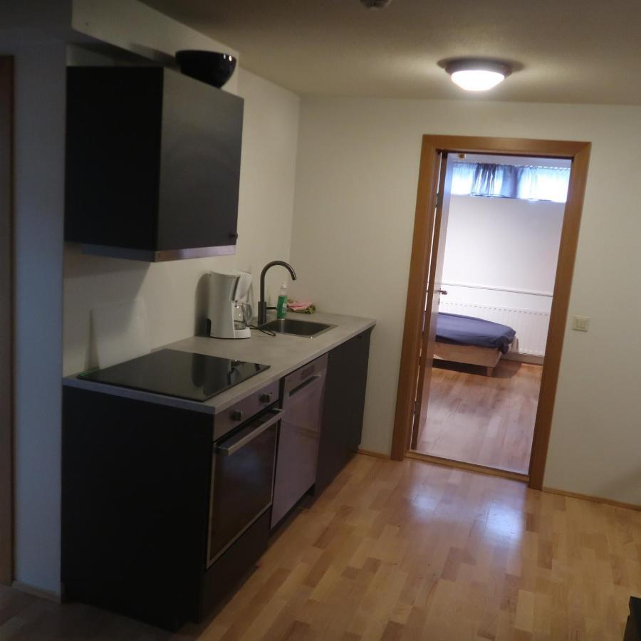 Large Apartment Close To The Centre レイキャヴィーク エクステリア 写真