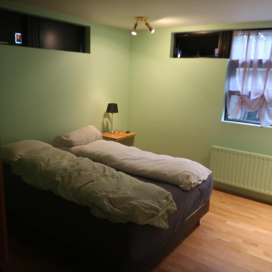 Large Apartment Close To The Centre レイキャヴィーク エクステリア 写真